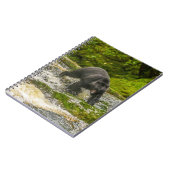 Carnet Pêche à l'ours noir | Qua Creek Colombie-Britanniq (Côté gauche)