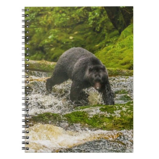 Carnet Pêche à l'ours noir | Qua Creek Colombie-Britanniq (Devant)
