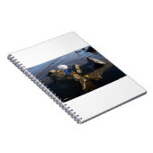 Carnet Pêche Fubby sur une pierre. (Côté Droit)