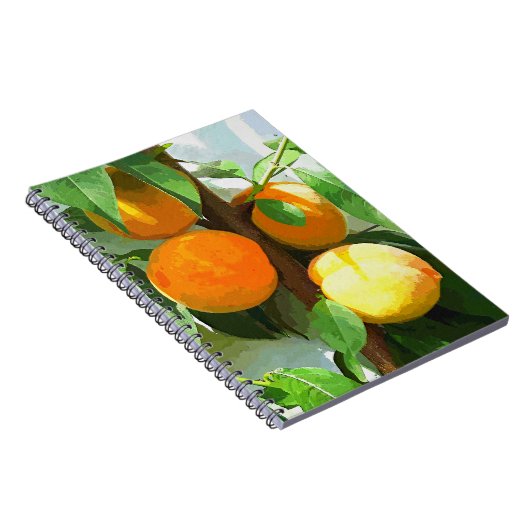 CARNET PÊCHES (Côté Droit)