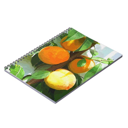 CARNET PÊCHES (Côté gauche)