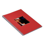 Carnet Peek-a-boo Indigo (Côté Droit)