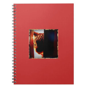 Carnet Peek-a-boo Indigo