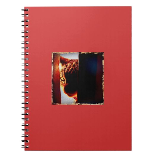Carnet Peek-a-boo Indigo (Devant)