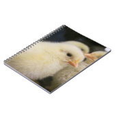 Carnet Peeps (Côté gauche)