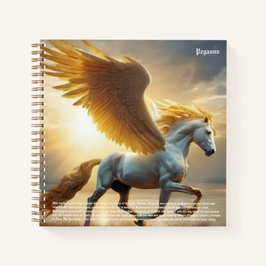 Carnet Pegasus (Devant)