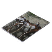 Carnet Peignez le boire de chevaux (Côté gauche)