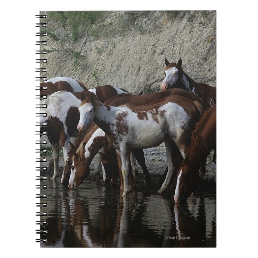 Carnet Peignez le boire de chevaux (Devant)