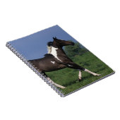 Carnet Peignez le cheval courant 2 (Côté Droit)