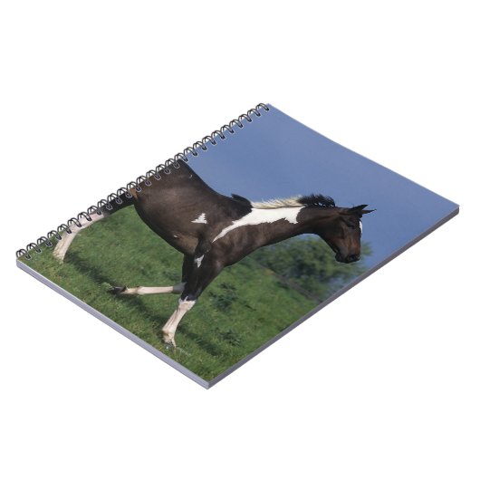 Carnet Peignez le cheval courant 2 (Côté gauche)