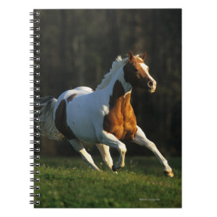 Carnet Peignez le cheval fonctionnant rapidement