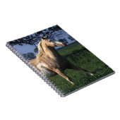 Carnet Peignez le cheval tenant 2 (Côté Droit)