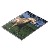 Carnet Peignez le cheval tenant 2 (Côté gauche)