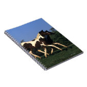 Carnet Peignez le fonctionnement de bêtes d'un an (Côté Droit)