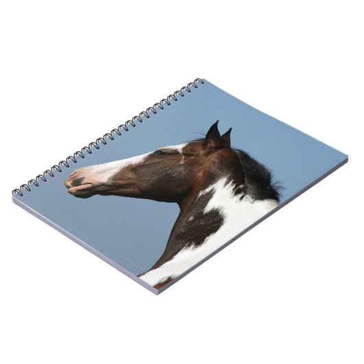 Carnet Peignez le Headshot 1 de cheval (Côté gauche)