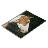 Carnet Peignez le Headshot 2 de cheval (Côté gauche)