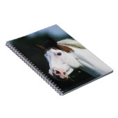 Carnet Peignez le Headshot 3 de cheval (Côté Droit)