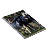 Carnet Peignez les chevaux (Côté Droit)