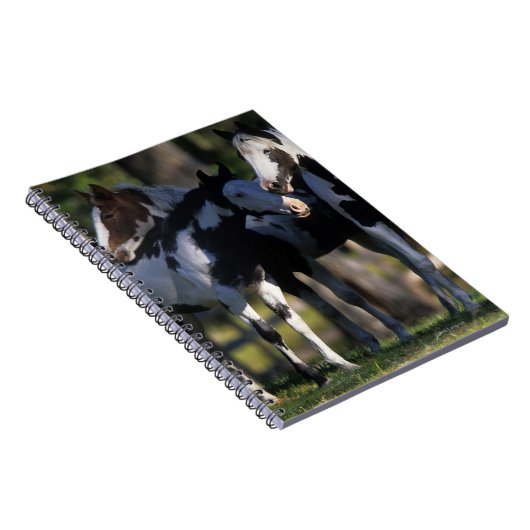 Carnet Peignez les chevaux (Côté Droit)