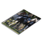 Carnet Peignez les chevaux (Côté gauche)