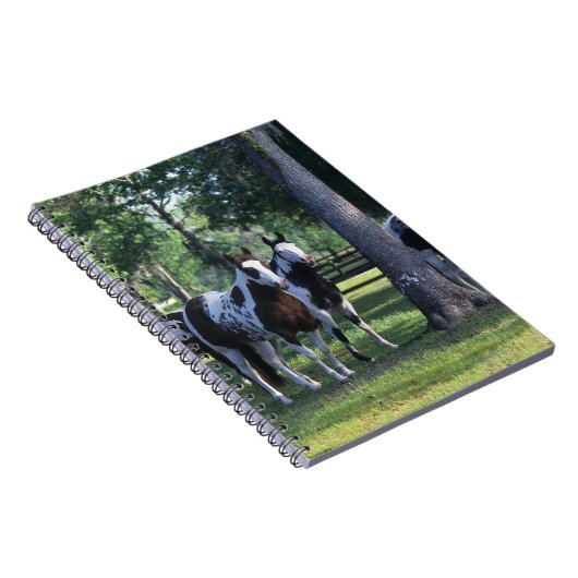 Carnet Peignez les chevaux dans les arbres (Côté Droit)
