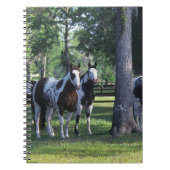 Carnet Peignez les chevaux dans les arbres (Devant)