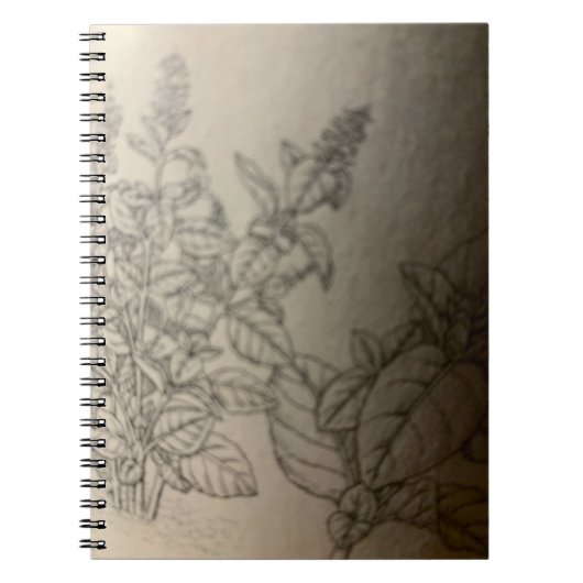 Carnet peindre le basilic. (Devant)