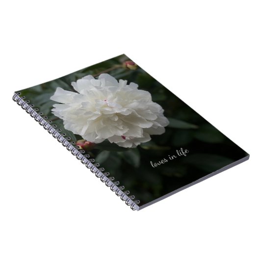 Carnet Peine blanche complète (Côté Droit)