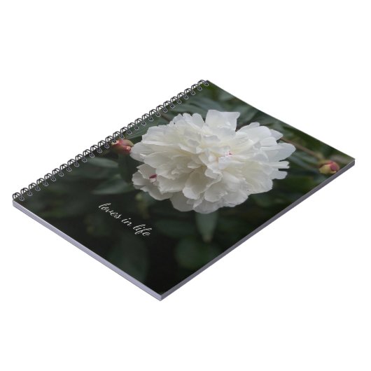 Carnet Peine blanche complète (Côté gauche)