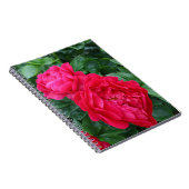 Carnet Peine rose rougeâtre (Côté Droit)