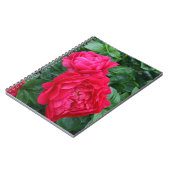 Carnet Peine rose rougeâtre (Côté gauche)