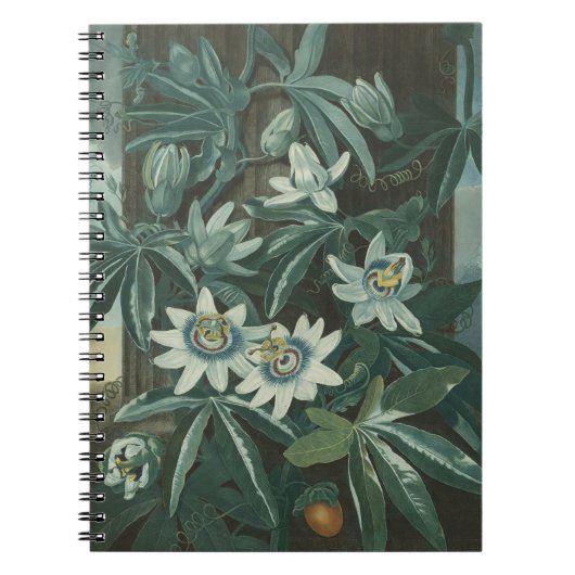 Carnet Peinture à fleurs moderne (Devant)