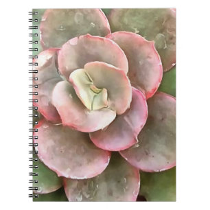 Carnet Peinture acrylique Succulente Echeveria Cactus