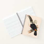 Carnet Peinture animalière d'antiquités Toucans (Intérieur)