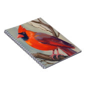 Carnet Peinture aquarelle Cardinal rouge (Côté Droit)