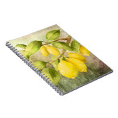 Carnet Peinture de citrons (Côté Droit)