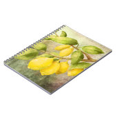 Carnet Peinture de citrons (Côté gauche)