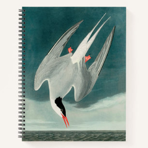 Carnet Peinture de faune d'oiseau de Stern d'Arctique Aud