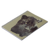 Carnet Peinture de Jaguar (Côté gauche)