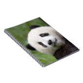 Carnet Peinture de petit animal de panda (Côté Droit)
