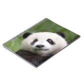 Carnet Peinture de petit animal de panda (Côté gauche)