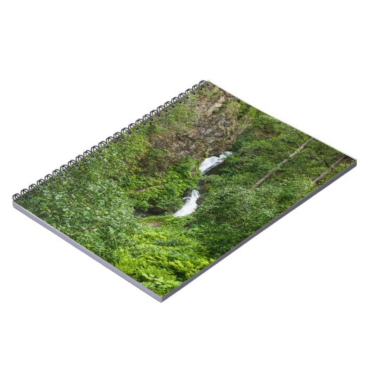 Carnet Peinture de Thunderbird (Côté gauche)