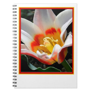 Carnet Peinture de tulipe lumineuse