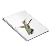 Carnet Peinture des colibris de Berylline (Côté Droit)