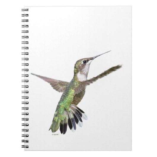 Carnet Peinture des colibris de Berylline (Devant)