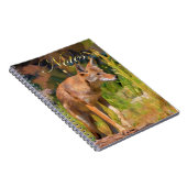 Carnet Peinture d'été sur la faune de Coyote (Côté Droit)