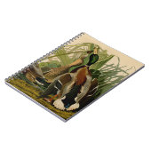 Carnet Peinture d'oiseaux de Mallard Duck Audubon (Côté gauche)