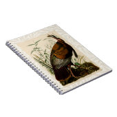 Carnet Peinture d'oiseaux sauvages de Turquie Audubon (Côté Droit)