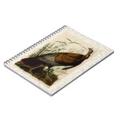 Carnet Peinture d'oiseaux sauvages de Turquie Audubon (Côté gauche)