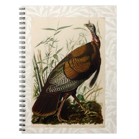 Carnet Peinture d'oiseaux sauvages de Turquie Audubon (Devant)